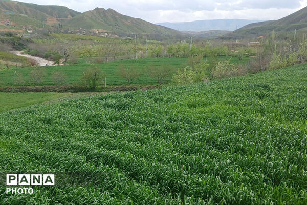 شکوفه‌های بهاری استان خراسان شمالی 