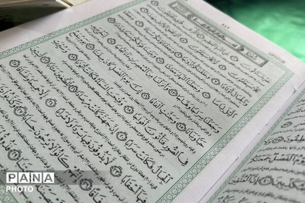 جوانه‌های ایمان در سایه‌سار قرآن