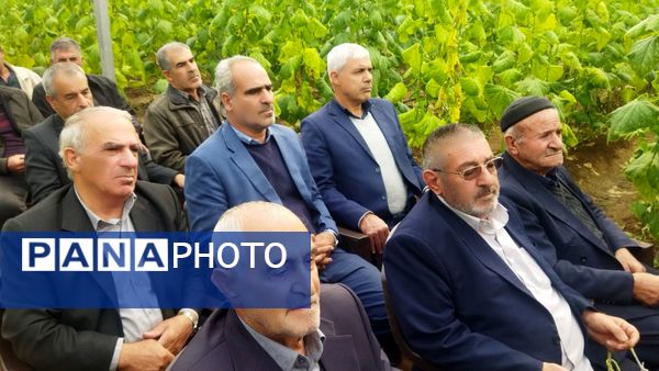 بازدید از گلخانه نمونه خسروشاه در هفته بسیج