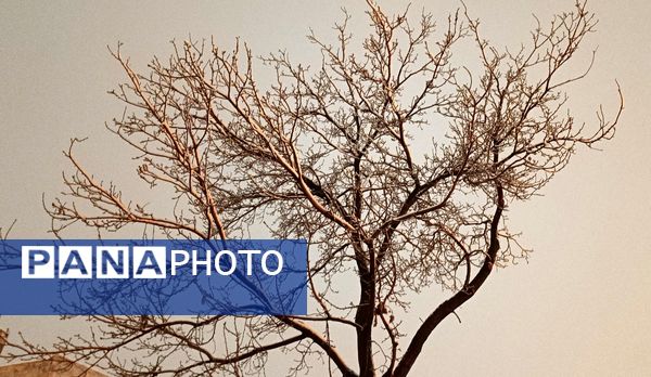 رحمت الهی برف بهاری بر دیار سلسله الذهب