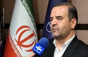 اصناف و سازمان حمایت ضابطین تعزیرات حکومتی در قیمت‌ کالاها در بازار هستند