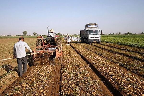 پایداری امنیت غذایی با وجود کم آبی و محدودیت انرژی