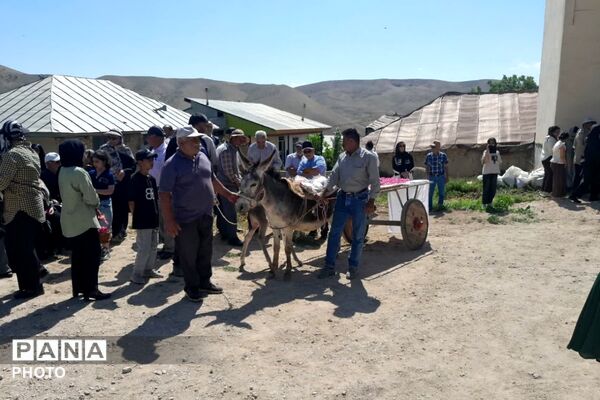 مراسم گلابگیری در روستای طارس شهرستان فیروزکوه