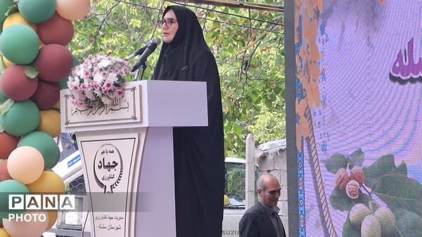 جشنواره‌ ای برای یک محصول؛ گردوی سلسله در مسیر فتح بازارها