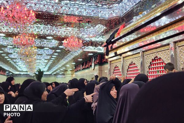 حس و حال دلدادگان حسینی در مسیر نجف و کربلا