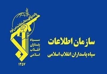 شبکه سازمان‌یافته فساد در حوزه خرید تضمینی گندم متلاشی شد