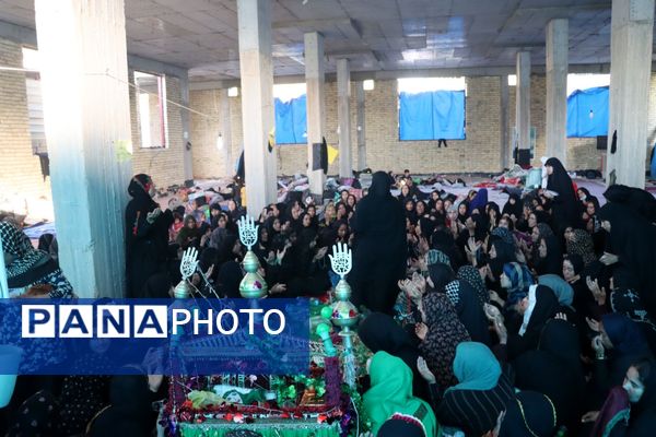 فعالیت موکب قلعه‌گنج در کربلای‌معلی