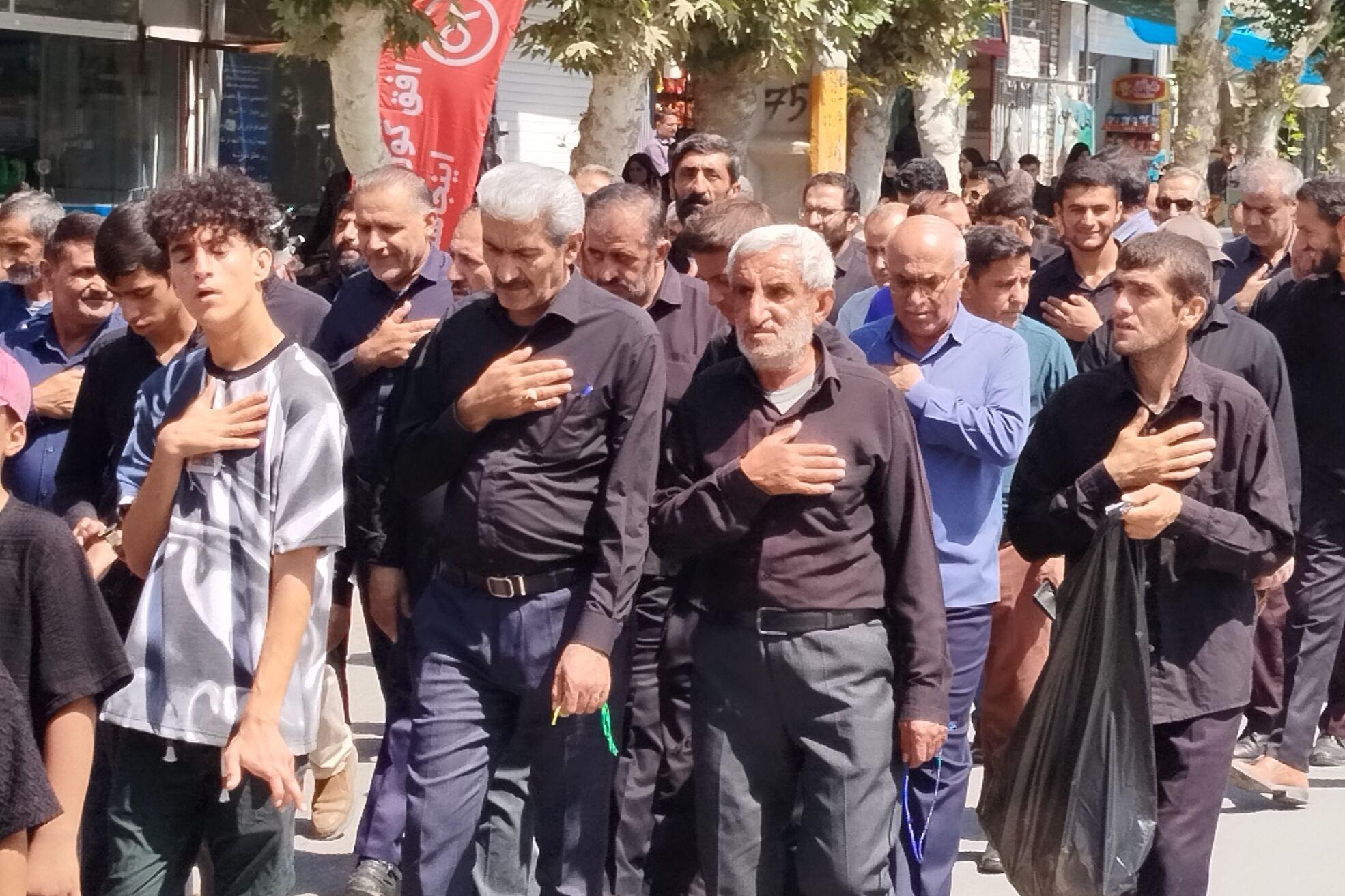 شکوه عزاداران رضوی در لردگان