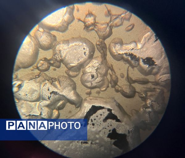 بازدید دانش‌آموزان مدرسه سما حاجی‌آباد از پژوهش‌سرای رازی در قالب طرح مهارت‌افزایی یارا