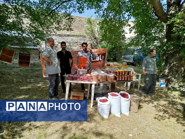 جشنواره توت سفید در هوراند