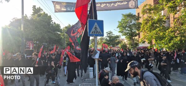 شکوهی از عشق و وفاداری در دل امام رئوف 