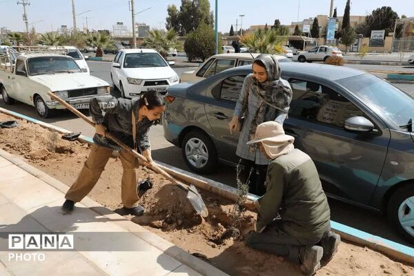 کاشت ۱۰۰۰ «نهال امید» به یاد «سرو ایران» در یزد