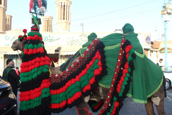 کاروان نمادین حضور امام رضا (ع) در یزد