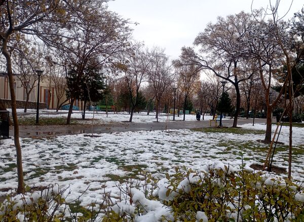 بارش برف در شهر زیبای مشهد 