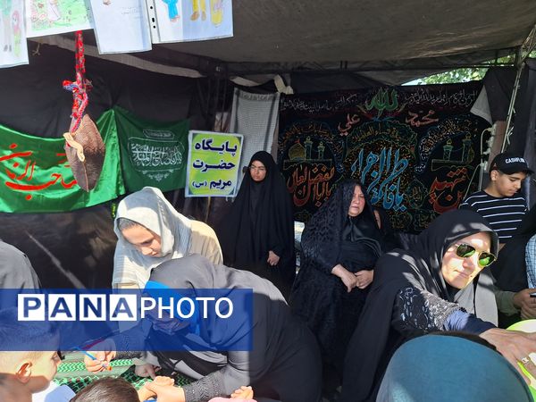 پیاده‌روی جاماندگان اربعین حسینی در مرودشت 