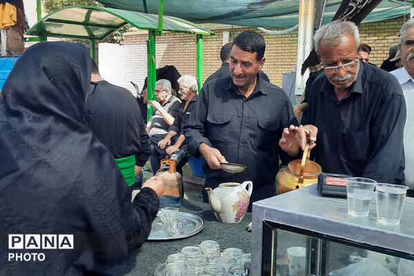 گام‌های عاشقی جاماندگان اربعین از صغاد تا حرم امامزادگان بهمن