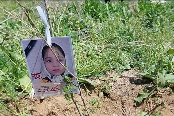 غرس ۲۰۰ نهال در پویش کاشت نهال امید شهرستان شیروان 