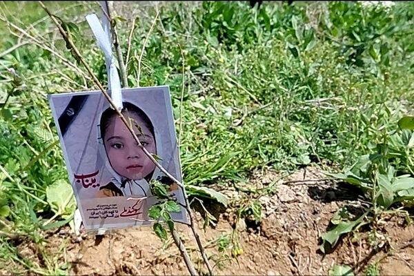 غرس ۲۰۰ نهال در پویش کاشت نهال امید شهرستان شیروان 