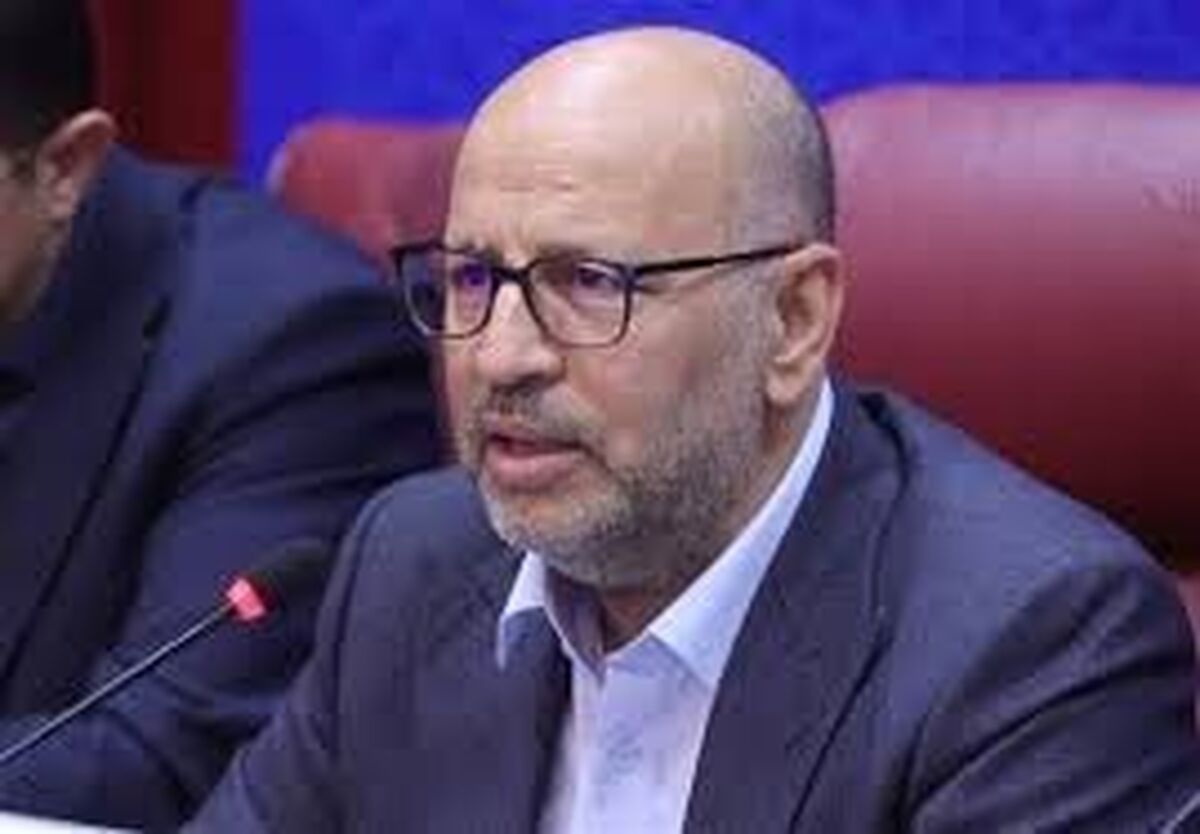 معاون وزیر اقتصاد: اداره کشور در پساجنگ باید تغییر کند/ کرمان پایلوت تفویض اختیارات شود