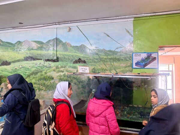 اردوی علمی ،تفریحی دانش آموزان مدرسه مهندس رحمانی فرد در پژوهش سرای علامه طباطبایی