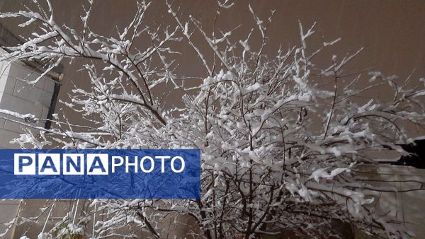 شبی برفی در نیشابور 