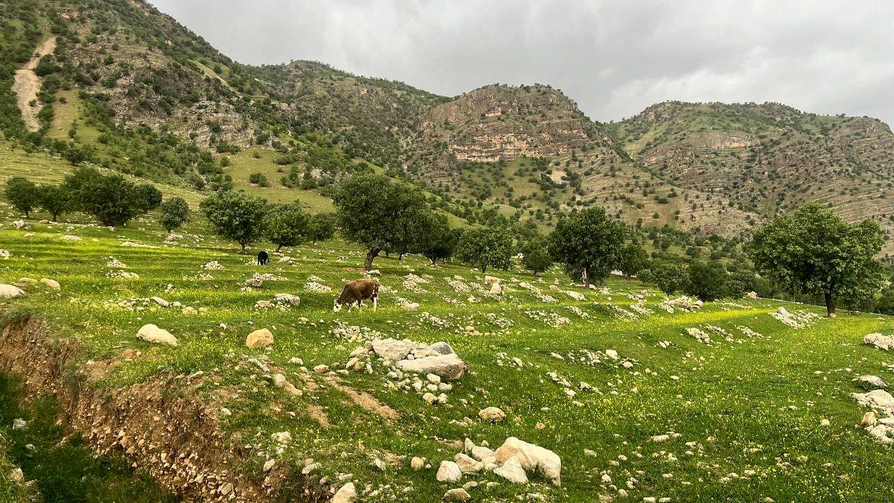 دهکده زراس، بهشت گمشده خوزستان