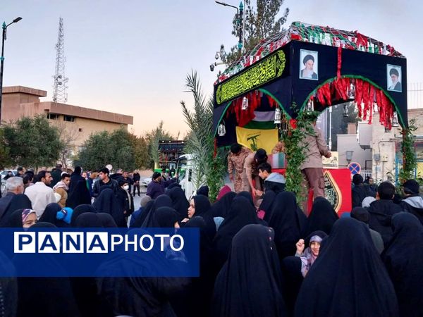 استقبال اردکانی‌ها از مهمان خوشنام