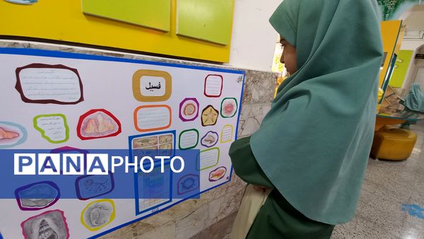 نمایشگاه هفته پژوهش در دبستان شاهد تحقیقی ناحیه ۶ مشهد مقدس