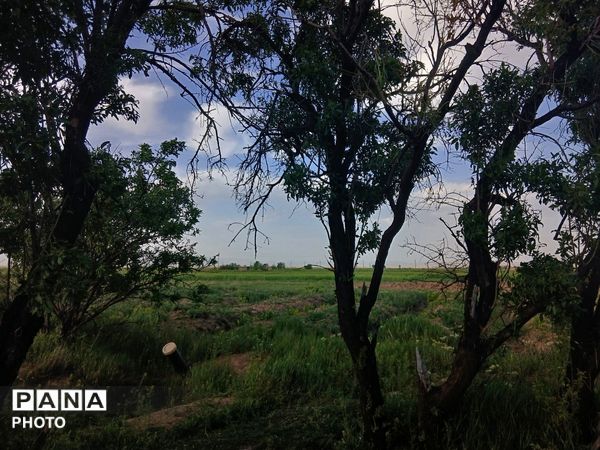 طبیعت چشم نواز روستای دهنو
