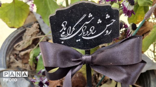 شهیدی از جنس بلور