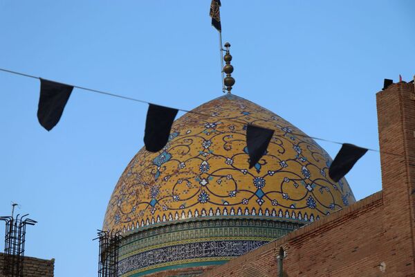 دل‌های جامانده، گرد حرم سلطان علی(ع) در مشهد اردهال به شور افتادند