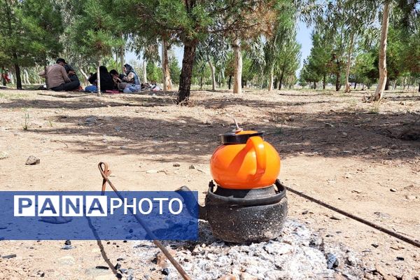 دورهمی روز طبیعت در پارک جنگلی پردیسان قم