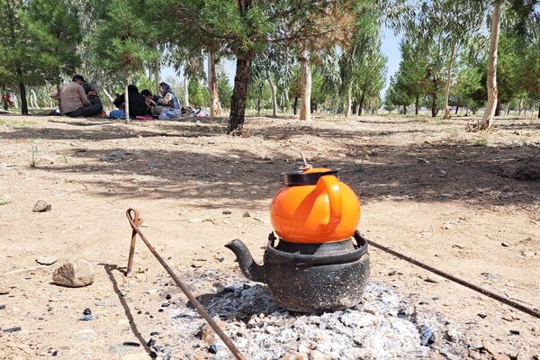 دورهمی روز طبیعت در پارک جنگلی پردیسان قم