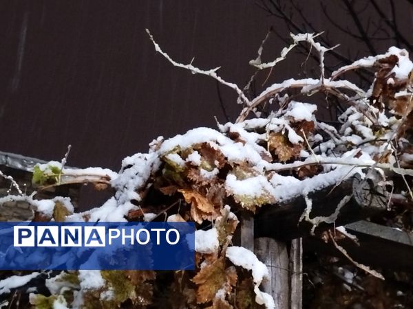 گذری بر دقایق اول بارش برف پاییزی در نیشابور 