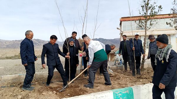 کاشت درخت توسط خادمیاران رضوی در شهرستان خلیل‌آباد 
