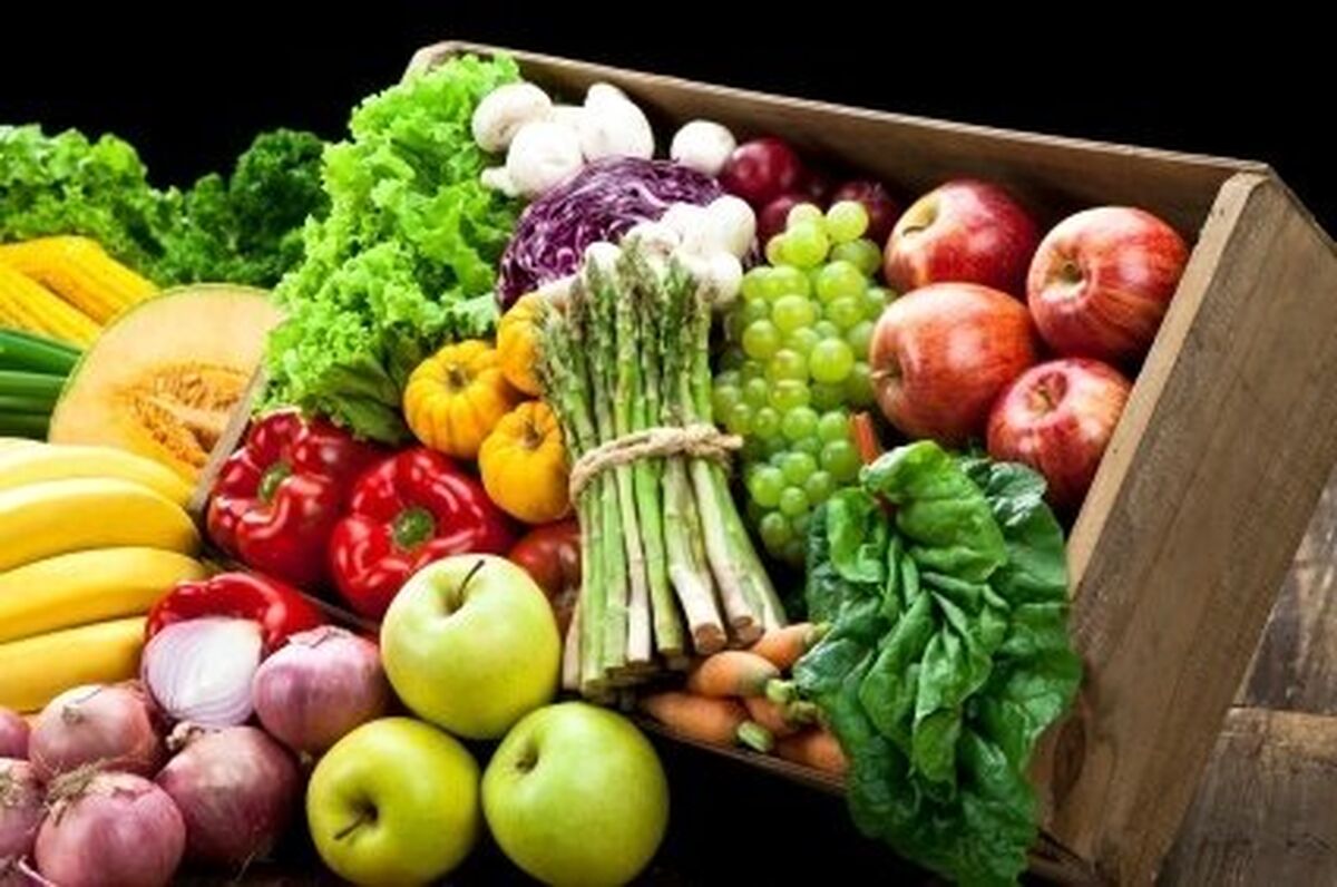 تسهیل صادرات و واردات مواد غذایی با سامانه‌های الکترونیکی جدید