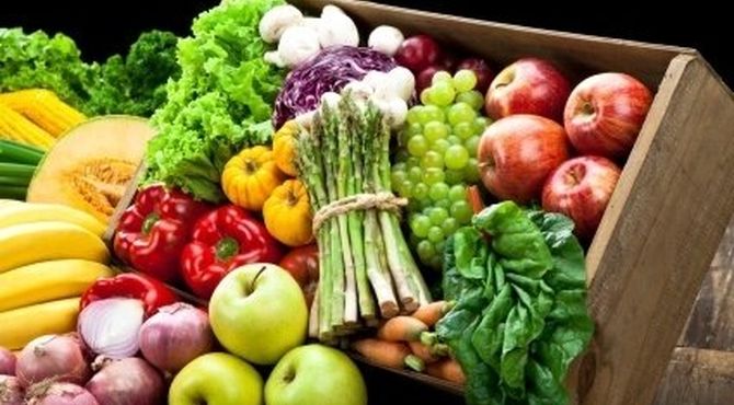 تسهیل صادرات و واردات مواد غذایی با سامانه‌های الکترونیکی جدید