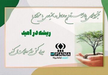 درختان؛ ریشه‌داران امید