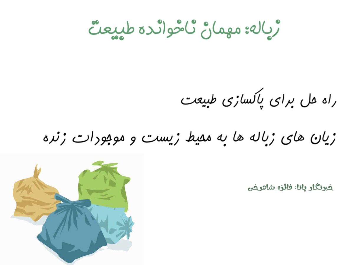 زباله مهمان ناخوانده طبیعت؛راهکارهای جمع آوری و خطرات محیط زیستی 
