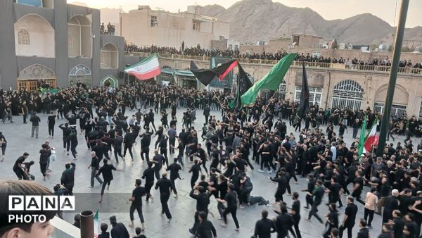 آیین دیرینه نخل برداری آخر ماه صفر در شهرستان تفت