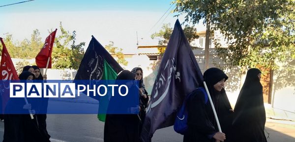 پیاده‌روی زائران جامانده ازحرم رضوی در شهرستان بام و صفی آباد