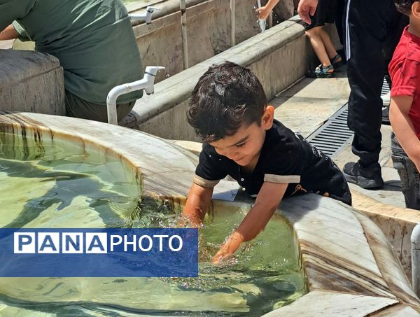 روز دحوالارض در حرم امام مهربانی‌ها