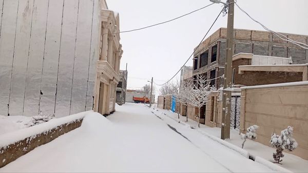 شازند سفیدپوش شد