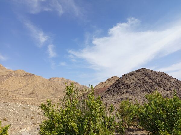 روز طبیعت در خانه‌ای کوچک و دلنشین بی‌‌بی گل و آقا جان