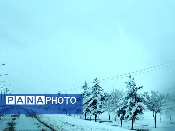 جلوه های زیبا از بارش برف در شهرستان نیشابور 