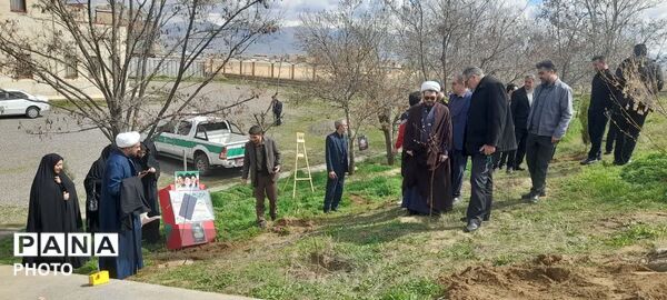 غرس نهال مثمر در کانون فرهنگی هنری شهید فهمیده مرند 