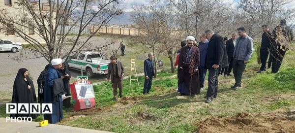 غرس نهال مثمر در کانون فرهنگی هنری شهید فهمیده مرند 