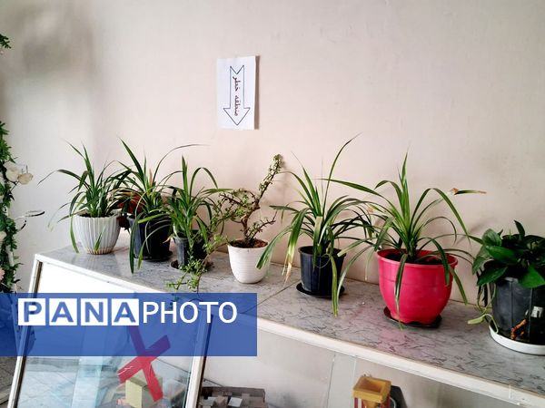 مانور سراسری زلزله در دبستان سمیه