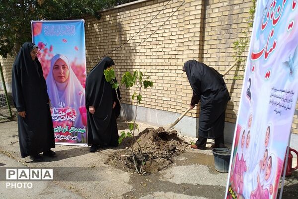 کاشت نهال به یاد یاسمن‌های میناب و شهیده دانش‌آموز نازنین زهرا سیفی 