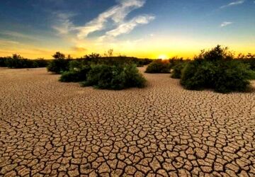 بیابان‌زدایی، راهی برای نجات منابع طبیعی